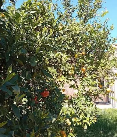 La Rossi With Pool 7 Villa Gallipolli