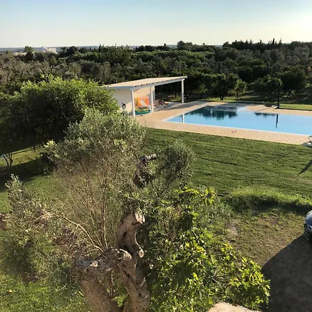 Villa La Rossi With Pool 7 *
