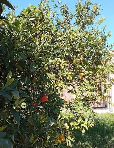 La Rossi With Pool 7 Villa Gallipoli